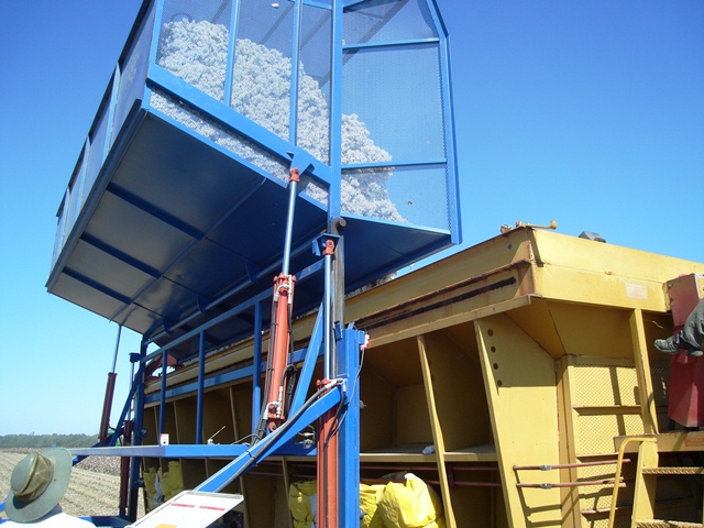 Dumping cotton from scales to module builder.