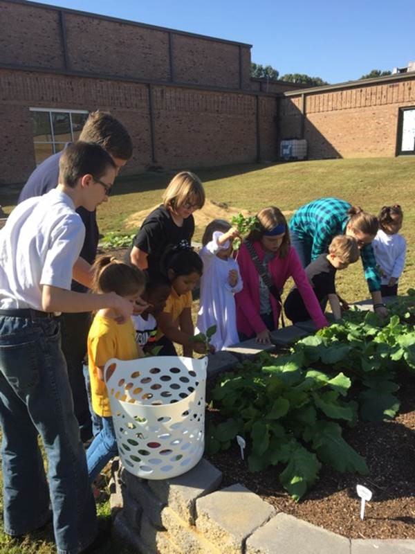 Master Gardener 